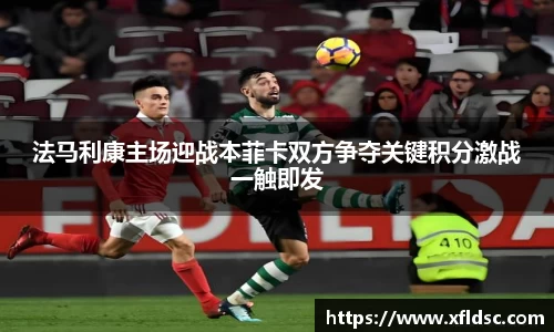 法马利康主场迎战本菲卡双方争夺关键积分激战一触即发